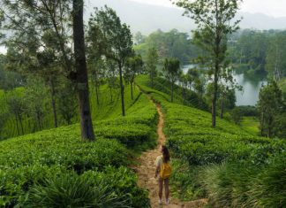 How Eco-Tourism Is Redefining Sustainable Travel Eco-Tourism