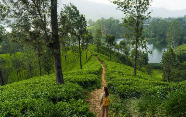 How Eco-Tourism Is Redefining Sustainable Travel Eco-Tourism