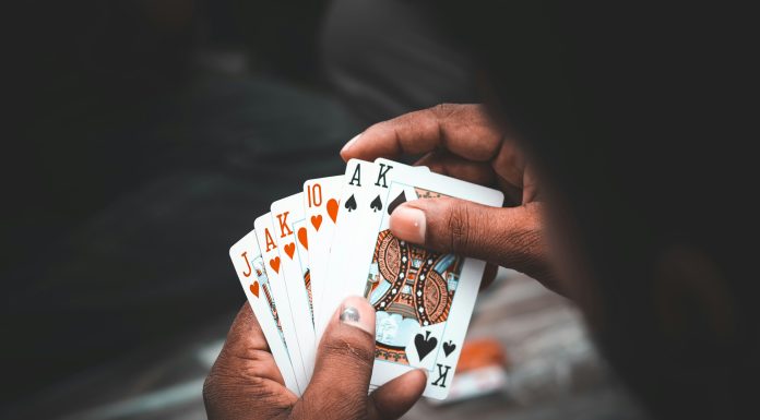 cricbet99: Not Loud, But Definitely Not Boring cricbet99